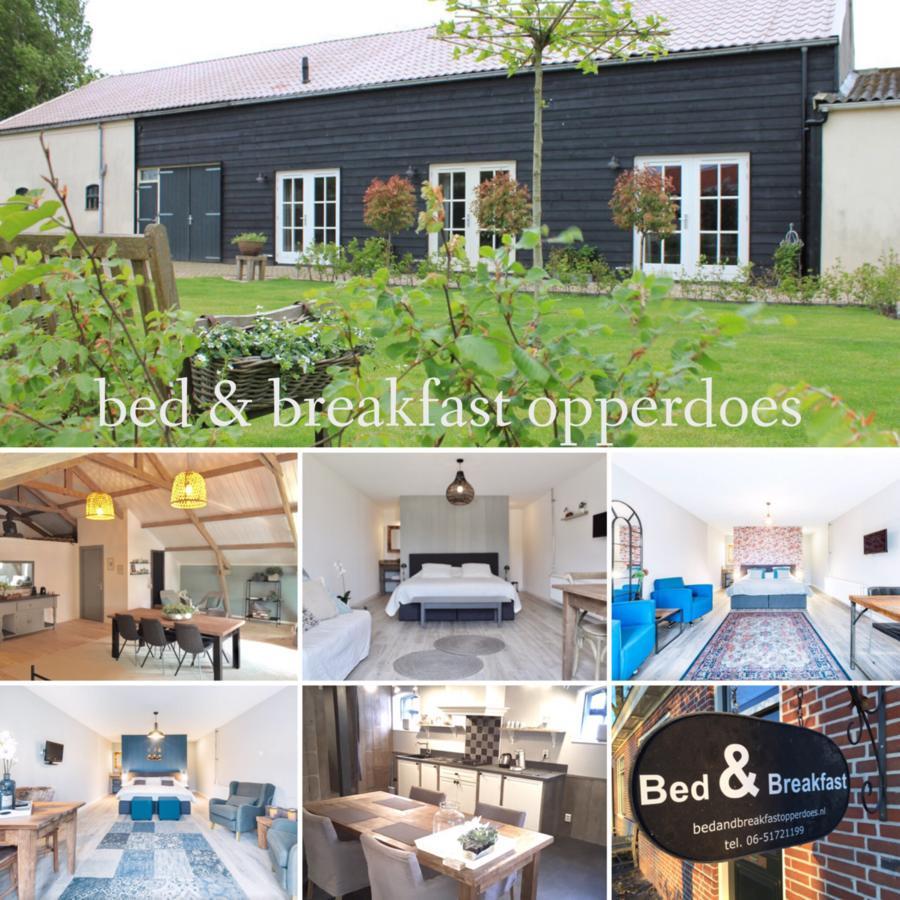 Bed & Breakfast Opperdoes Ngoại thất bức ảnh